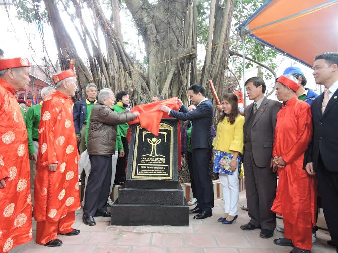 Công[-]nhận[-]Cây[-]Di[-]sản[-]Việt[-]Nam[-]cho[-]Cây[-]Đa[-]và[-]cây[-]Muỗm[-]tại[-]Đền[-]-[-]Đình[-]Liễu[-]Giai